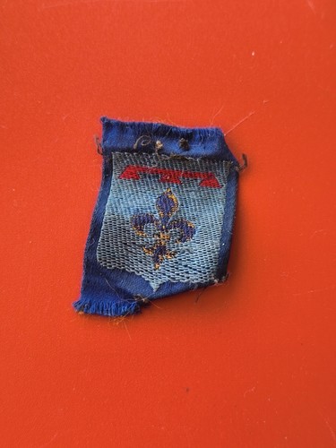 Ancien insigne vintage - , scouts