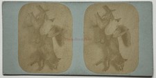 Nature morte Photographie artistique c1865 Stereo Vintage Albumine §s