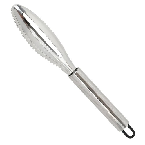 Ecailleur poisson acier - ecailleur, en