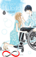 Perfect World - Tome 4