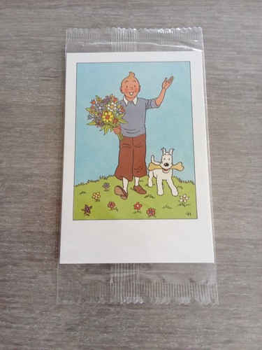 Cartes postales tintin - cartes,