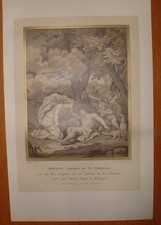 CLA 245 ESTAMPE XIXe ADONIS -