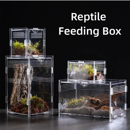 Acrylic terrarium for - terrarium,