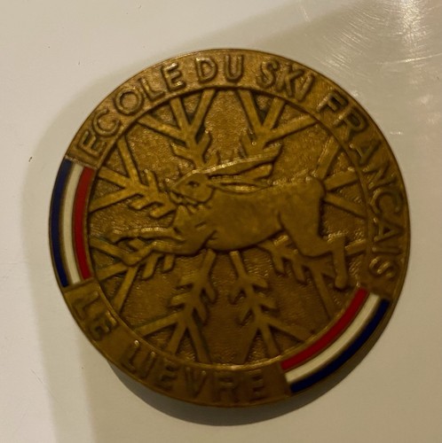 Broche insigne ecole - de, ski