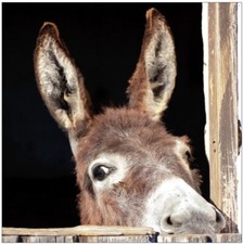 3 Stickers boites aux lettres