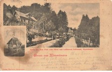 68 MASMUNSTER MASEVAUX #FG60094 GRUSS AUS PARTIE VOM HOTEL SCHIMMEL