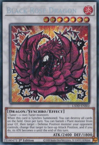 Dragon rose noire - -,