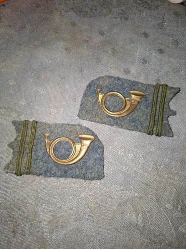 Paire pattes col chasseur a - paire,