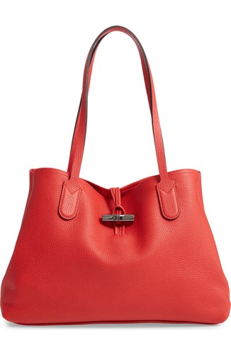 Nwt longchamp roseau - nwt,