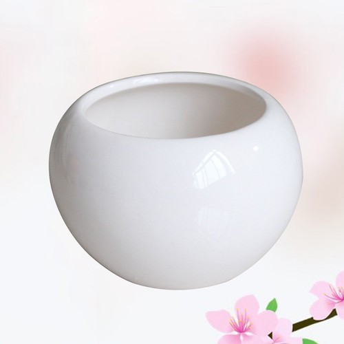 Jardinière succulente petit - jardinière,