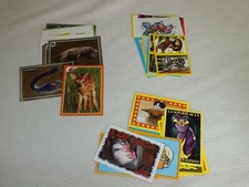 ANIMAUX 2013 / 2017 / 2018  -