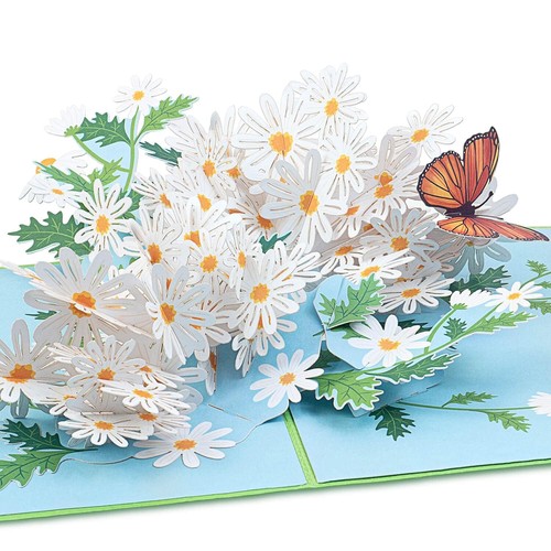 Carte pop pâquerettes et - pop,