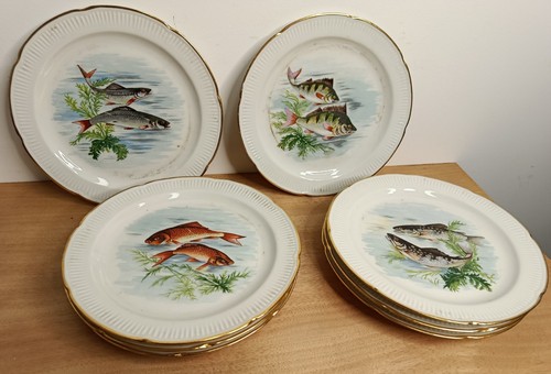 Assiettes poissons en - assiettes, à