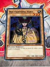 25TH Carte Yu Gi Oh ROI