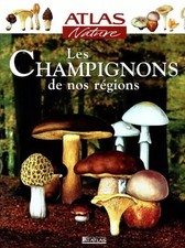 Atlas nature : les champignons, Collectif