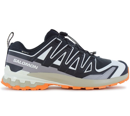 Salomon pro v9 gtx - pro, 3d