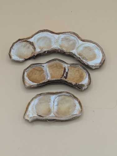 Décorations naturelles