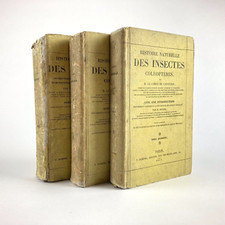 [ENTOMOLOGIE]  CASTELNAU & BLANCHARD . HISTOIRE NATURELLE DES COLÉOPTÈRES . 1840