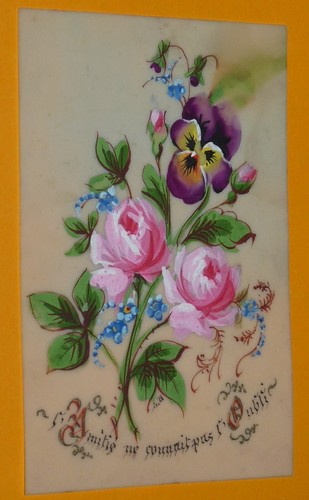 Image celluloïd amitie fleurs - celluloÏd,