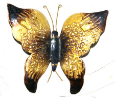 beau papillon  en émaux  de