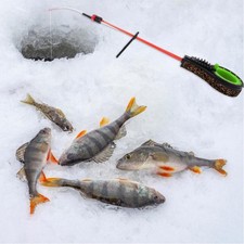 Embout de canne à pêche sur glace, équipement de pêche sur glace portable