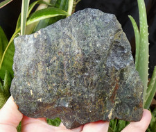 Serpentine verte 10x7.5cm