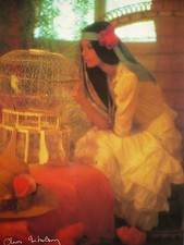 Carte Postale   CHRIS NIKOLSON