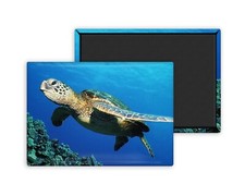 Tortue-Magnet Personnalisé