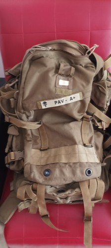 Military coyote brown eagle - us,