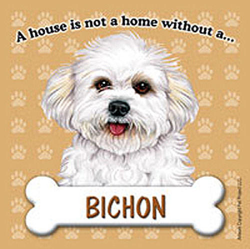 Magnète bichon frisé - frisé,