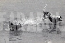 Photo de presse vintage