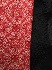 Red Bandana Toddler Car Seat