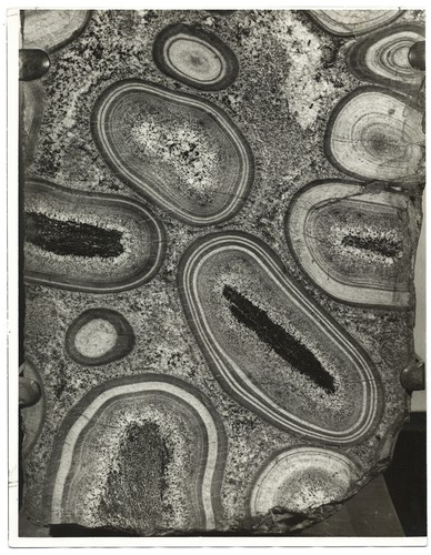 Photographie scientifique - photographie,