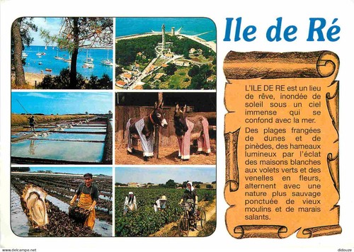 Carte postale ile de - -, 17