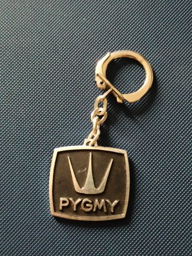 Porte cle clef pygmy radio - porte,