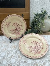 2 Assiettes Anciennes Porcelaine Opaque de Gien Modèle Chardons Fin XIX déb XX è