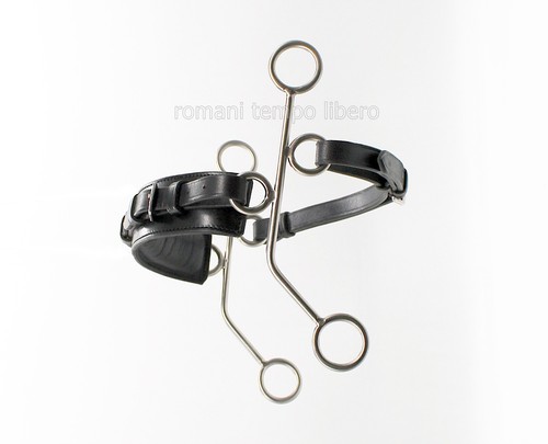 Hackamore attelage saut - hackamore, d’attelage