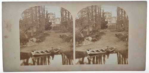 Photographie albuminé