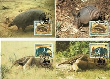 WWF 4 CM  tATOU FOURMILIER  47