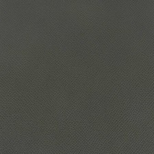 Morceau de cuir grain dauphin