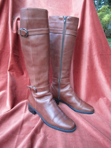 Sesto meucci italy equestrian - sesto,