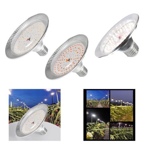 Lampe croissance led - croissance,