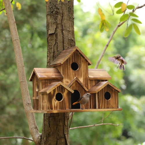 Maison oiseaux bois - à,