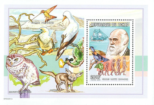 Stamps chad 2001 - chad, imperf