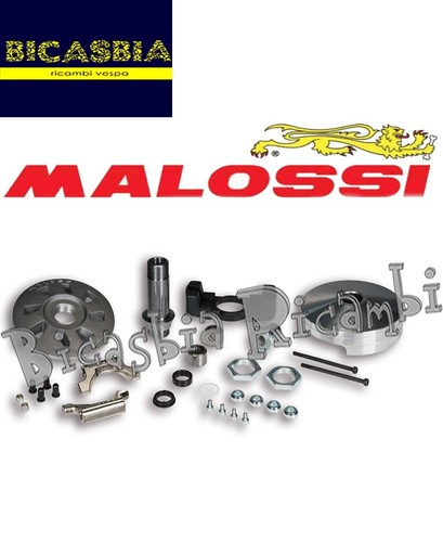 19598 variateur malossi - 19598,