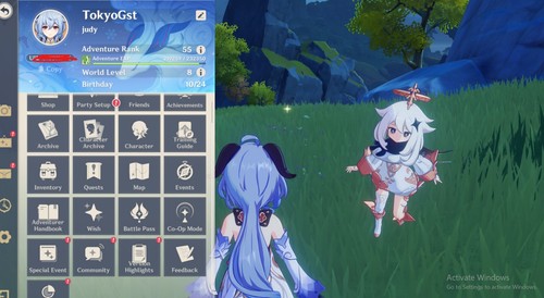 Genshin impact ar55 - [na],