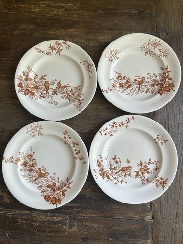 Assiettes anciennes en - anciennes,