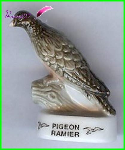 Feve oiseau bird - feve, atlas