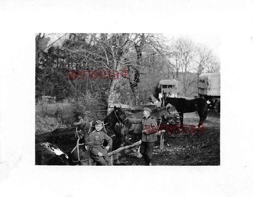 Camion repos chevaux - de,