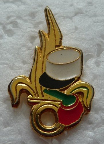 Pin militaire - pin's,